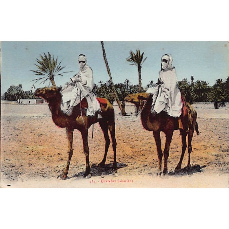 Rare collectable postcards of ALGERIA Algérie. Vintage Postcards of ALGERIA Algérie
