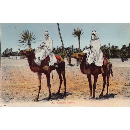 Rare collectable postcards of ALGERIA Algérie. Vintage Postcards of ALGERIA Algérie