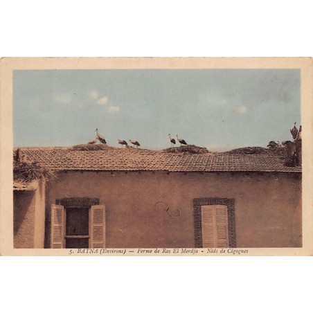 Rare collectable postcards of ALGERIA Algérie. Vintage Postcards of ALGERIA Algérie