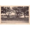 Rare collectable postcards of SENEGAL. Vintage Postcards of SENEGAL