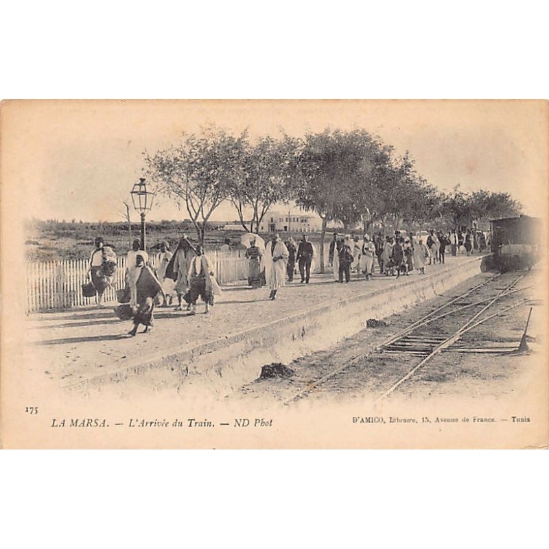 Rare collectable postcards of TUNISIA Tunisie. Vintage Postcards of TUNISIA Tunisie