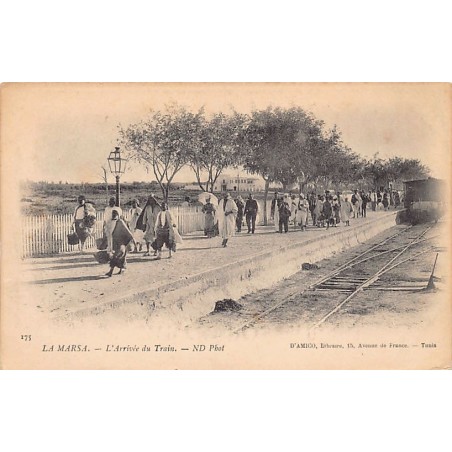 Rare collectable postcards of TUNISIA Tunisie. Vintage Postcards of TUNISIA Tunisie