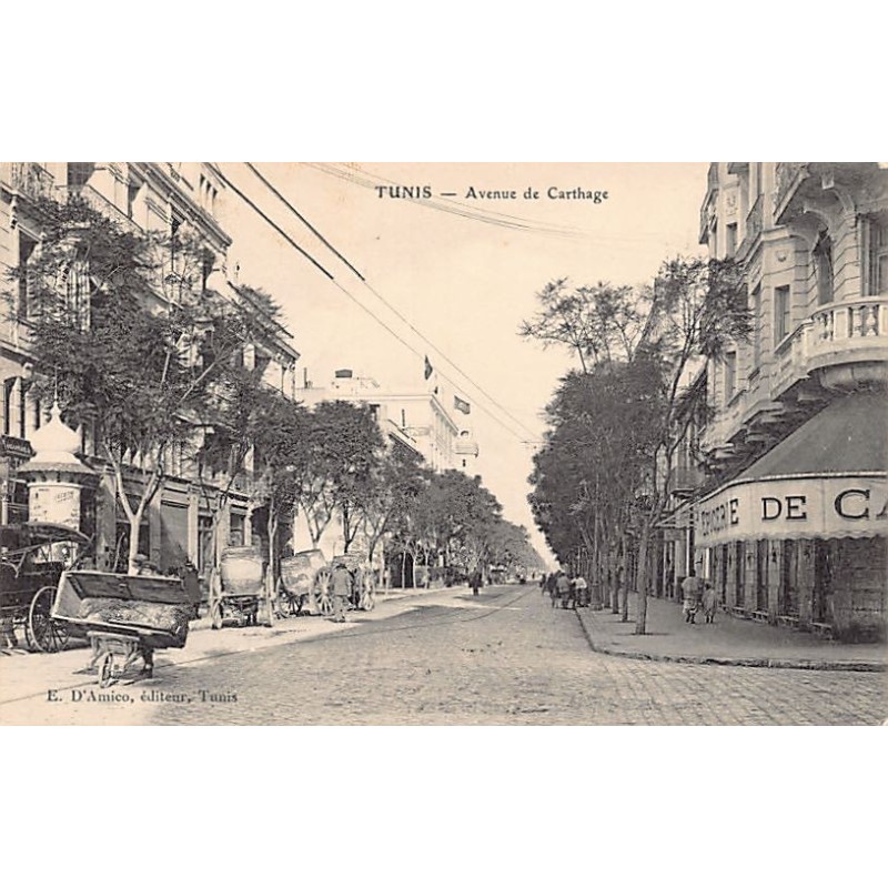 Rare collectable postcards of TUNISIA Tunisie. Vintage Postcards of TUNISIA Tunisie