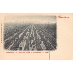 Rare collectable postcards of ARGENTINA. Vintage Postcards of ARGENTINA