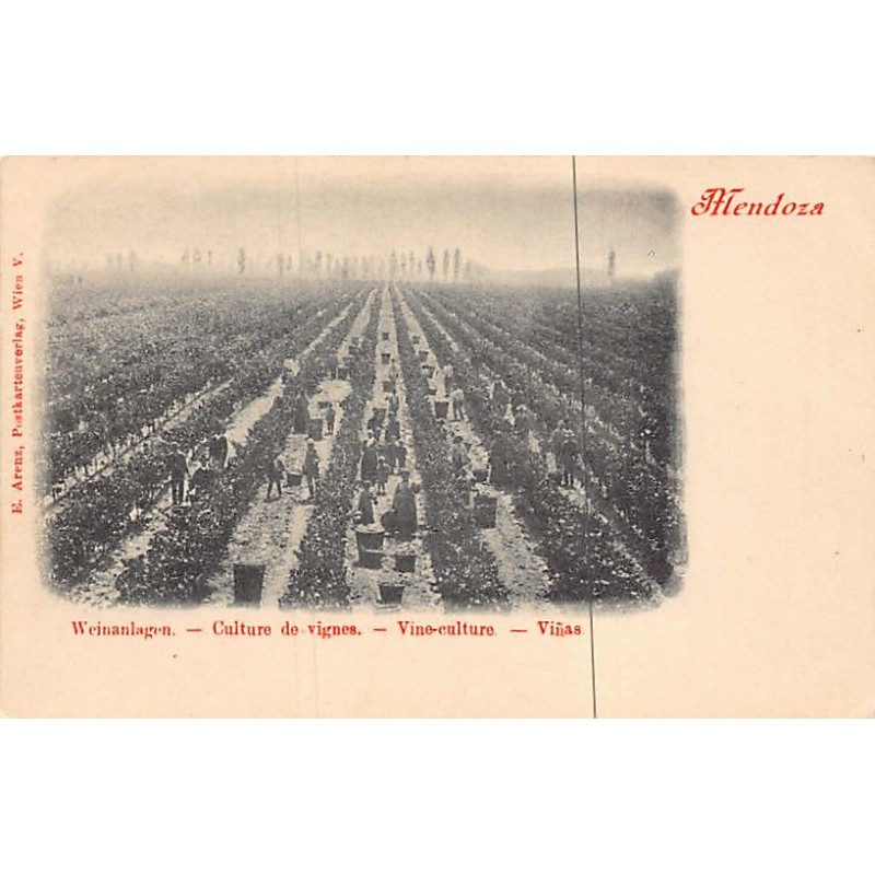 Rare collectable postcards of ARGENTINA. Vintage Postcards of ARGENTINA