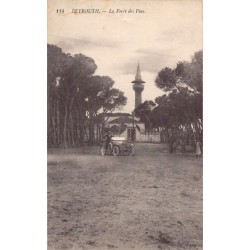 Rare collectable postcards of LEBANON. Vintage Postcards of LEBANON