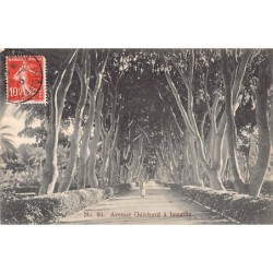 Rare collectable postcards of EGYPT. Vintage Postcards of EGYPT