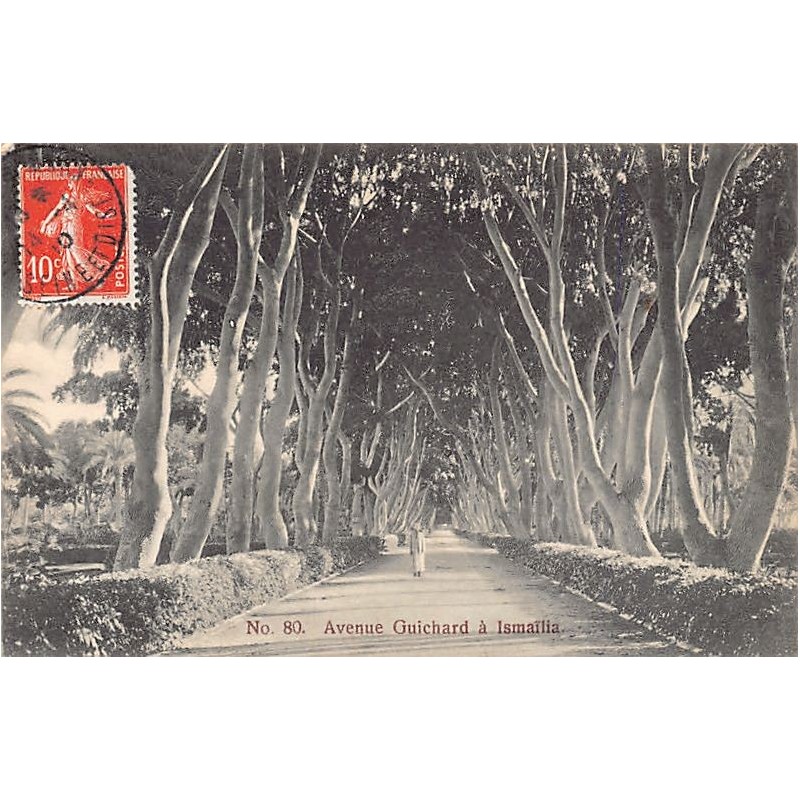 Rare collectable postcards of EGYPT. Vintage Postcards of EGYPT