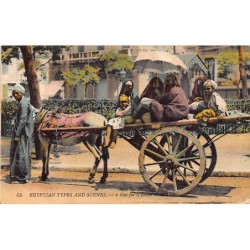 Rare collectable postcards of EGYPT. Vintage Postcards of EGYPT
