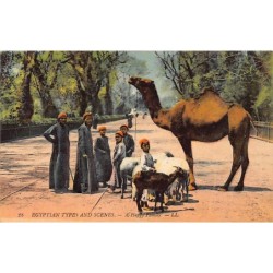 Rare collectable postcards of EGYPT. Vintage Postcards of EGYPT