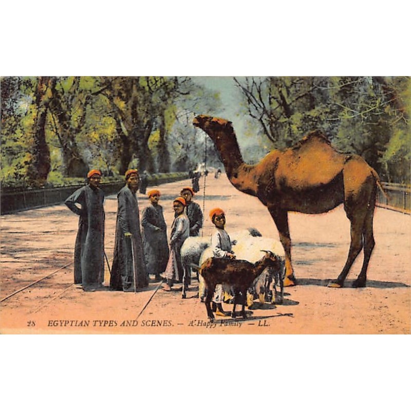 Rare collectable postcards of EGYPT. Vintage Postcards of EGYPT