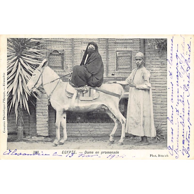 Rare collectable postcards of EGYPT. Vintage Postcards of EGYPT