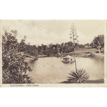 Rare collectable postcards of EGYPT. Vintage Postcards of EGYPT
