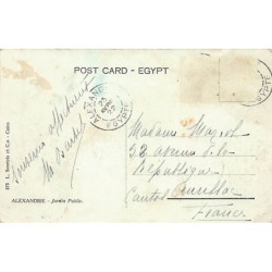 Rare collectable postcards of EGYPT. Vintage Postcards of EGYPT