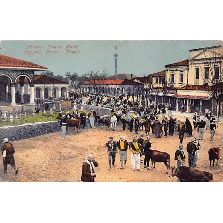 Rare collectable postcards of ALBANIA Belgique België. Vintage Postcards of ALBANIA Belgique België