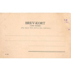 Rare collectable postcards of DENMARK Belgique België. Vintage Postcards of DENMARK Belgique België