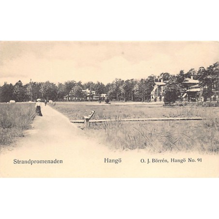 Rare collectable postcards of FINLAND Belgique België. Vintage Postcards of FINLAND Belgique België