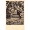 Rare collectable postcards of GREECE Belgique België. Vintage Postcards of GREECE Belgique België