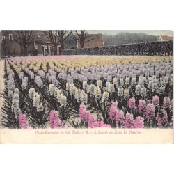 Rare collectable postcards of NETHERLANDS Nederland Belgique België. Vintage Postcards of NETHERLANDS Nederland Belgique België