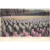 Rare collectable postcards of NETHERLANDS Nederland Belgique België. Vintage Postcards of NETHERLANDS Nederland Belgique België