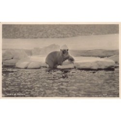 Rare collectable postcards of NORWAY Belgique België. Vintage Postcards of NORWAY Belgique België