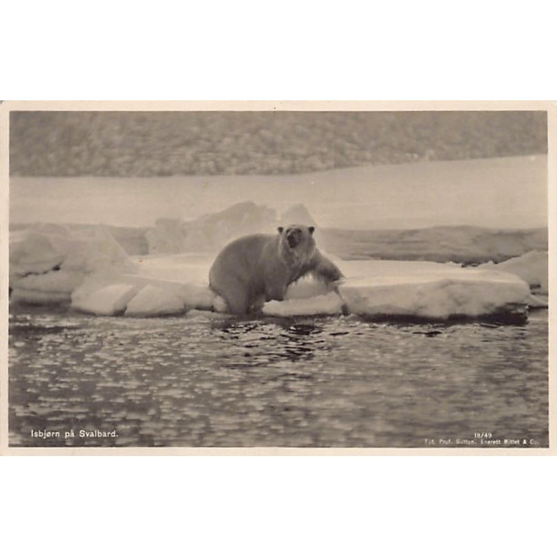 Rare collectable postcards of NORWAY Belgique België. Vintage Postcards of NORWAY Belgique België