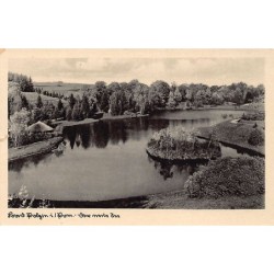 Rare collectable postcards of POLSKA Poland Belgique België. Vintage Postcards of POLSKA Poland Belgique België