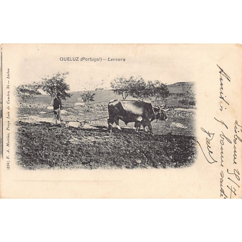 Rare collectable postcards of PORTUGAL Belgique België. Vintage Postcards of PORTUGAL Belgique België