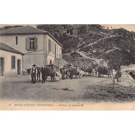 Rare collectable postcards of PORTUGAL Belgique België. Vintage Postcards of PORTUGAL Belgique België