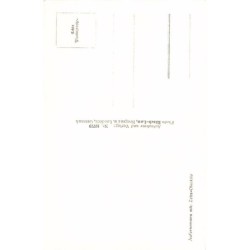 Rare collectable postcards of AUSTRIA. Vintage Postcards of AUSTRIA