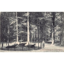 Rare collectable postcards of BELGIUM Belgique België. Vintage Postcards of BELGIUM Belgique België