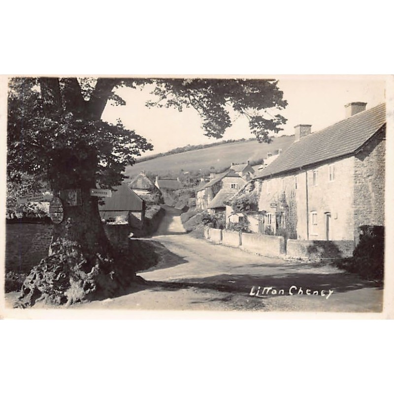Rare collectable postcards of ENGLAND Belgique België. Vintage Postcards of ENGLAND Belgique België
