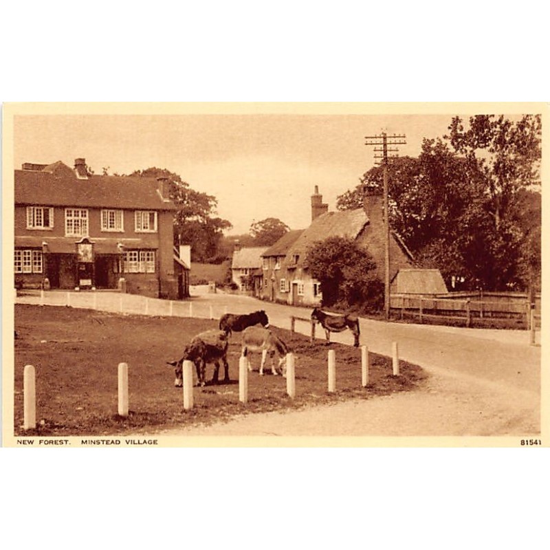 Rare collectable postcards of ENGLAND Belgique België. Vintage Postcards of ENGLAND Belgique België