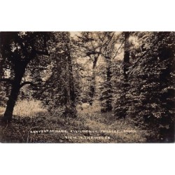 Rare collectable postcards of ENGLAND Belgique België. Vintage Postcards of ENGLAND Belgique België