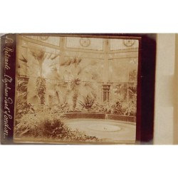 Rare collectable postcards of ENGLAND Belgique België. Vintage Postcards of ENGLAND Belgique België