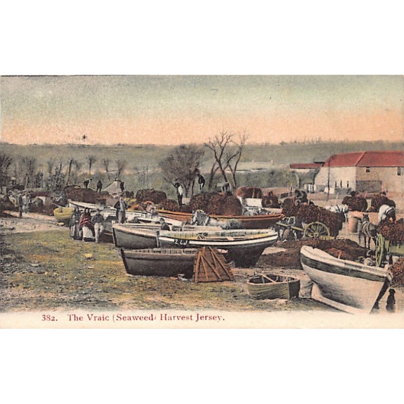 Rare collectable postcards of JERSEY Belgique België. Vintage Postcards of JERSEY Belgique België