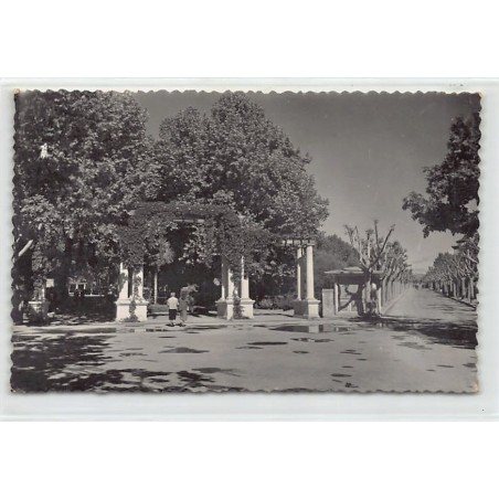 Rare collectable postcards of SPAIN España Belgique België. Vintage Postcards of SPAIN España Belgique België