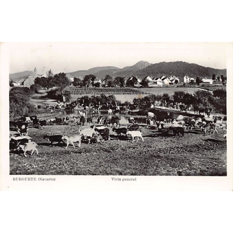 Rare collectable postcards of SPAIN España Belgique België. Vintage Postcards of SPAIN España Belgique België