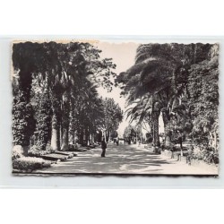 Rare collectable postcards of SPAIN España Belgique België. Vintage Postcards of SPAIN España Belgique België