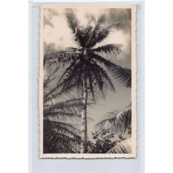 Rare collectable postcards of CONGO BRAZZAVILLE. Vintage Postcards of CONGO BRAZZAVILLE