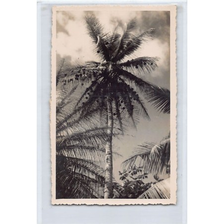 Rare collectable postcards of CONGO BRAZZAVILLE. Vintage Postcards of CONGO BRAZZAVILLE