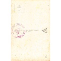 Rare collectable postcards of AUSTRIA. Vintage Postcards of AUSTRIA