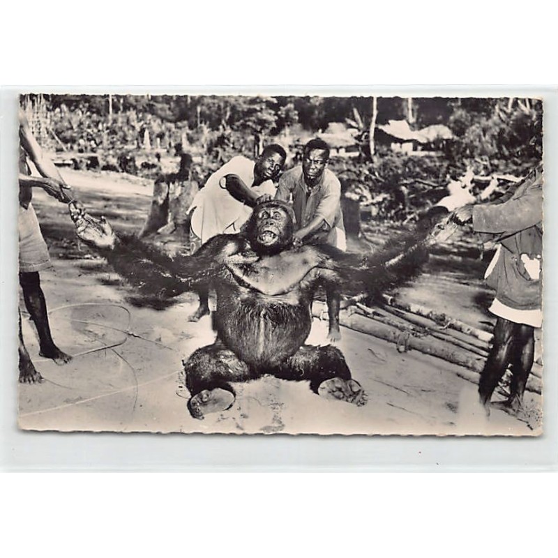 Rare collectable postcards of CONGO BRAZZAVILLE Belgique België. Vintage Postcards of CONGO BRAZZAVILLE Belgique België