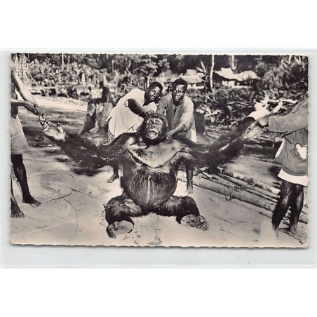 Rare collectable postcards of CONGO BRAZZAVILLE Belgique België. Vintage Postcards of CONGO BRAZZAVILLE Belgique België