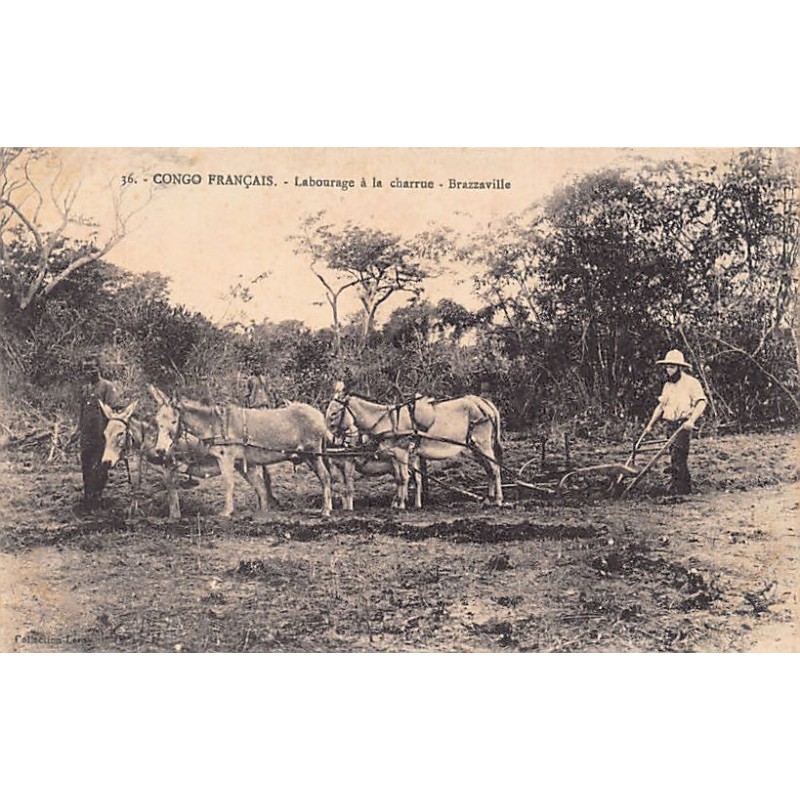 Rare collectable postcards of CONGO BRAZZAVILLE Belgique België. Vintage Postcards of CONGO BRAZZAVILLE Belgique België