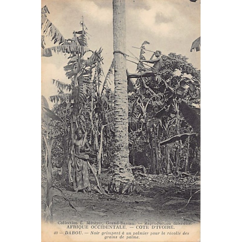 Rare collectable postcards of CÔTE D'IVOIRE Ivory Coast Belgique België. Vintage Postcards of CÔTE D'IVOIRE Ivory Coast Belgique