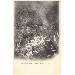 Rare collectable postcards of LA RÉUNION Belgique België. Vintage Postcards of LA RÉUNION Belgique België