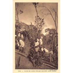 Rare collectable postcards of TOGO Belgique België. Vintage Postcards of TOGO Belgique België