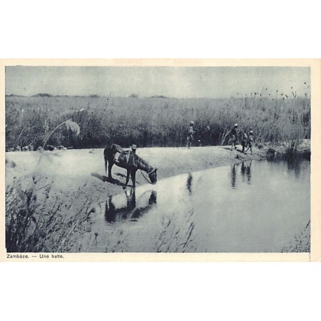 Rare collectable postcards of ZAMBIA Belgique België. Vintage Postcards of ZAMBIA Belgique België