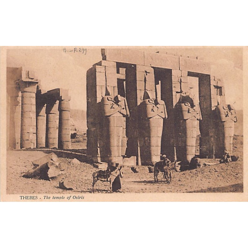 Rare collectable postcards of EGYPT Belgique België. Vintage Postcards of EGYPT Belgique België